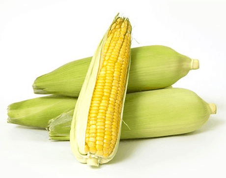 Corn on The Cob Calories