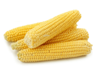 Corn on The Cob Calories