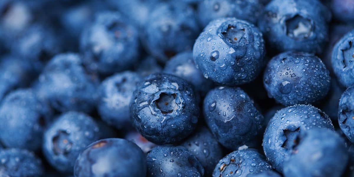 Health Benefits and Nutritional Facts Of Blueberry - YeyeLife