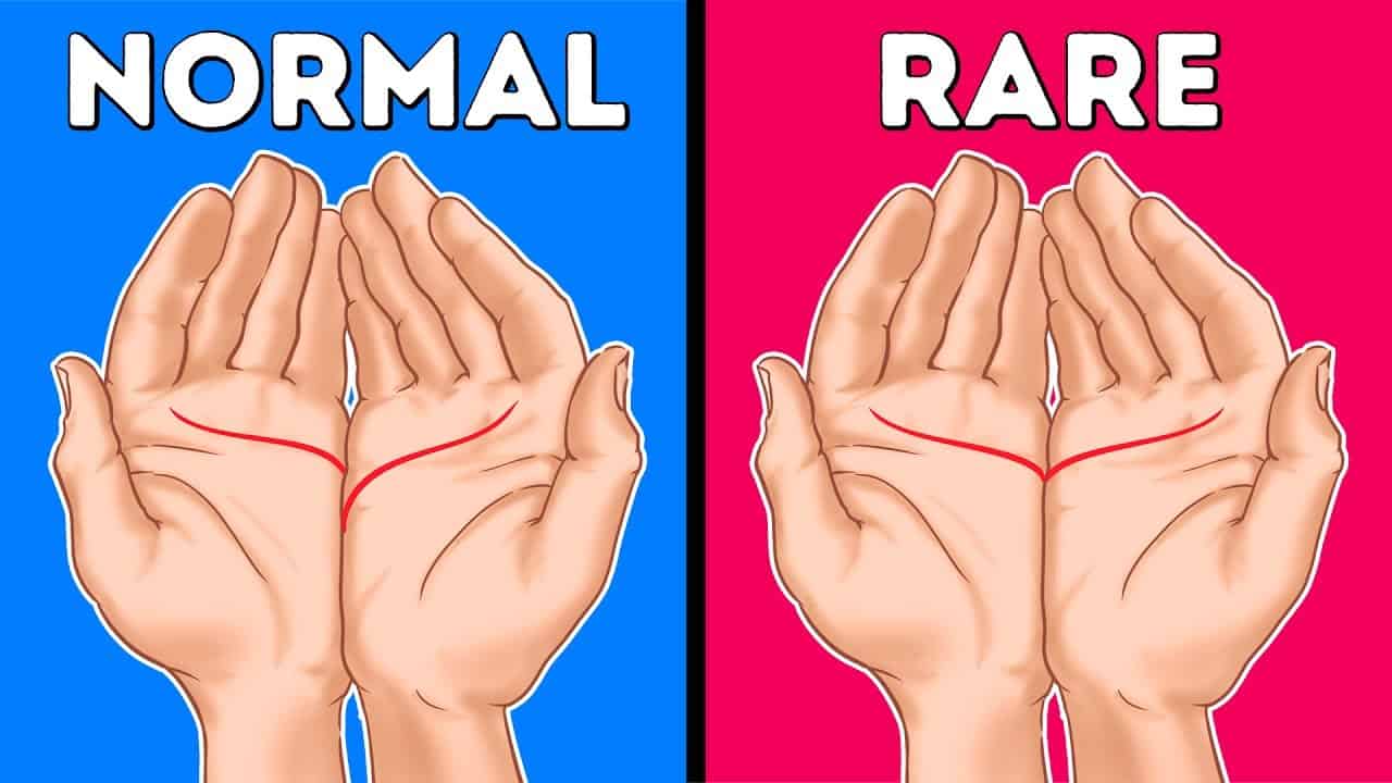 How To Read The Lines On Your Palm Does It Really Predict Your Future
