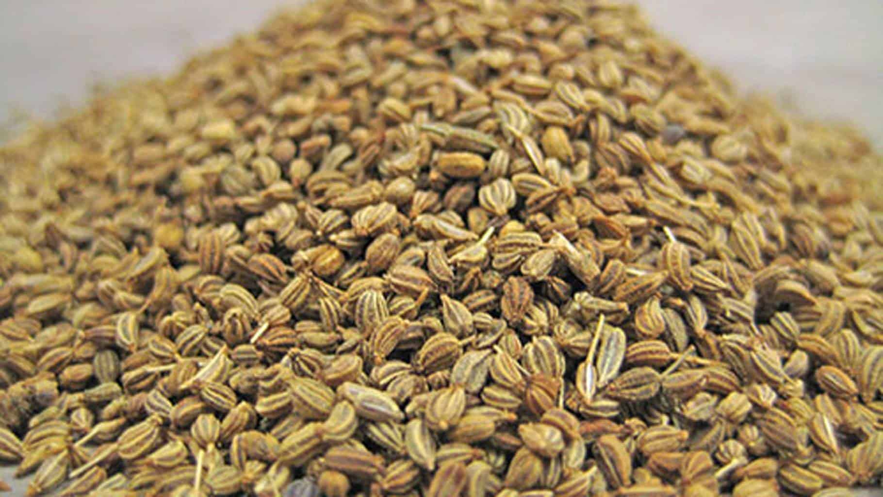 50+ Untold Benefits of Ajwain Seeds For Skin, Hair & Health Its Side