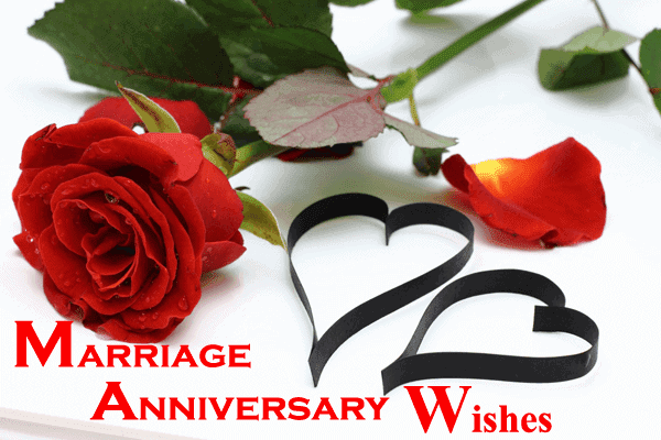 250+ Wedding Anniversary Wishes for Sister - YeyeLife