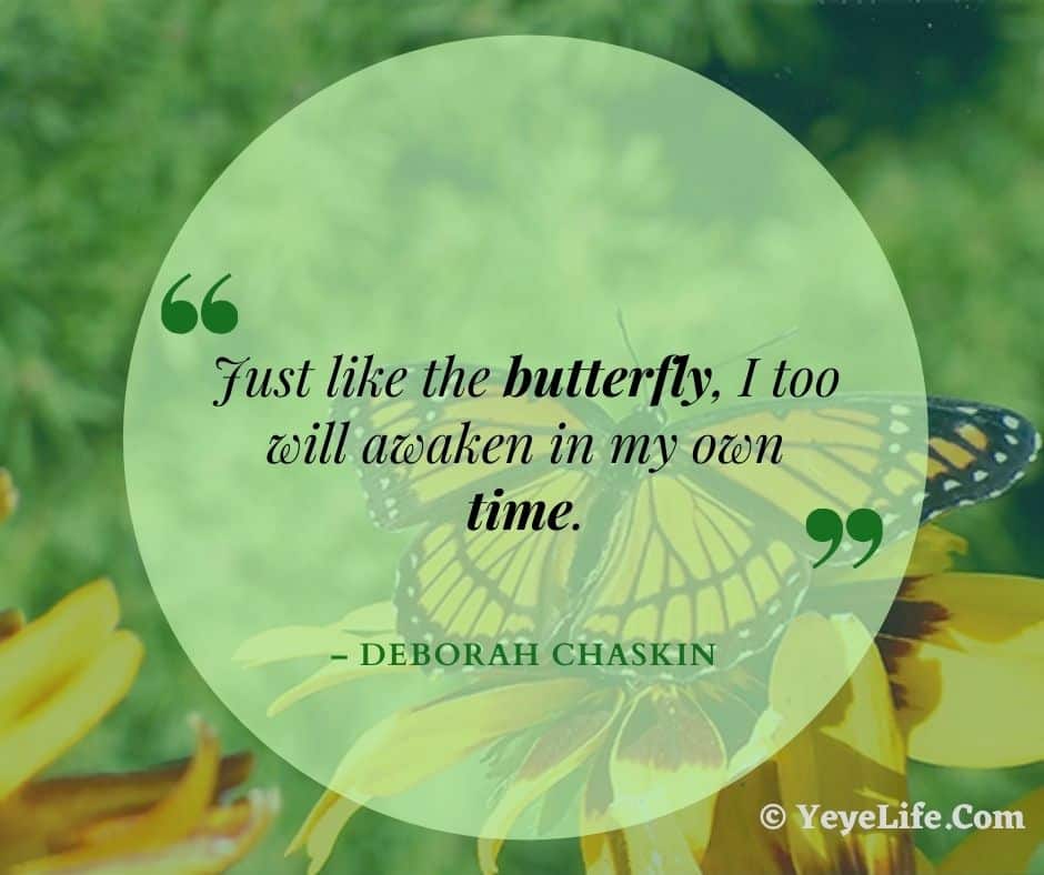 Butterfly Quotes On Image