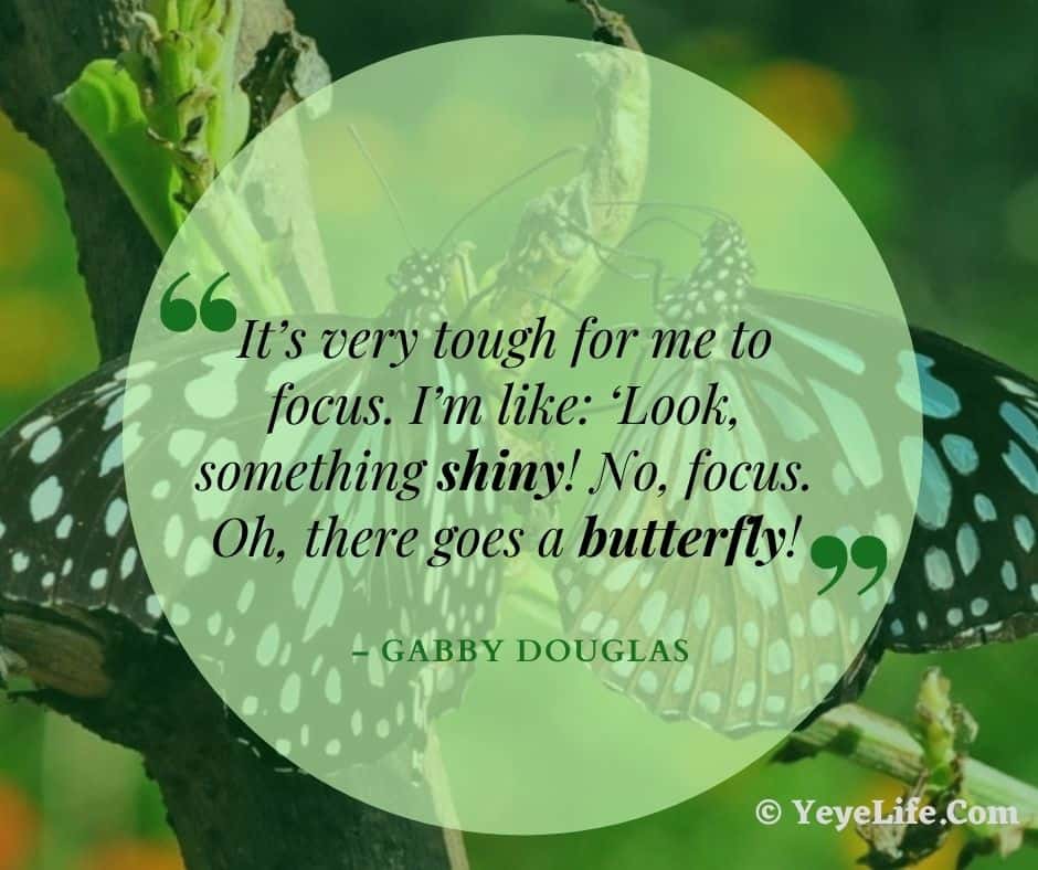 Butterfly Quotes Images
