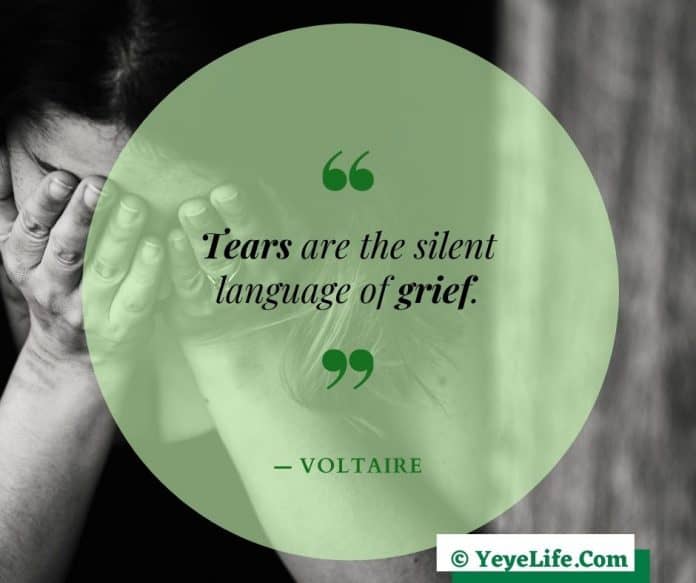 150+ Heartfelt Grief Quotes and Sayings YeyeLife
