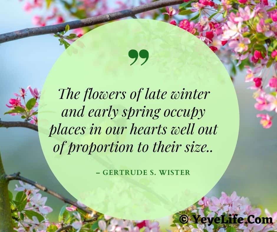 Spring Quotes On Image