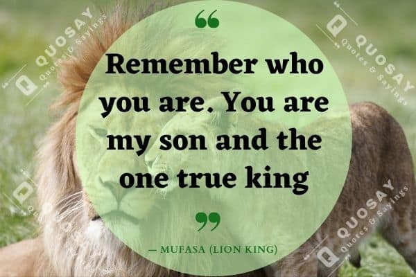 Lion King Quotes