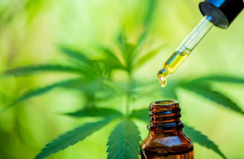 CBD Oil