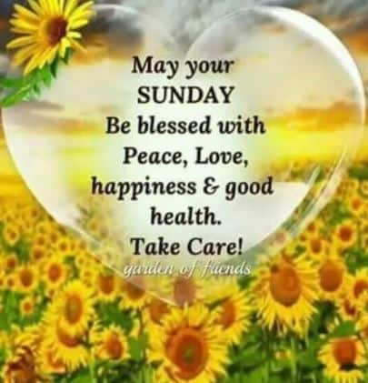Have a Blessed Sunday Quotes Images 