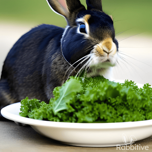 Can Rabbits Eat Kale? (Benefits and Risks To Consider)