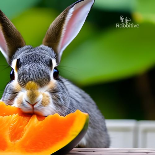 Can Rabbits Eat Papaya? (Benefits & Potential Risks)